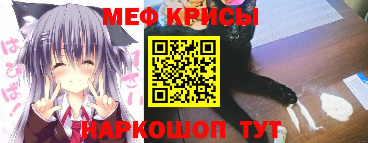 Москва  МЯУ-МЯУ мяу мяу  Вход с VPN 