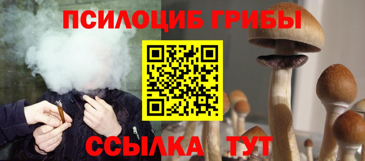 Псилоцибиновые грибы мухоморы Москва
