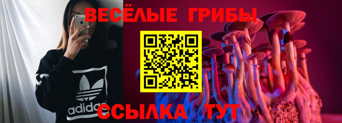 Москва  Галлюциногенные грибы Magic Shrooms  Вход с VPN 
